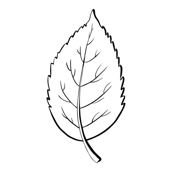 Hand drawn leaf black coloring. Isolated on white background. Vector botanical illustration. Hand-drawn doodle floral elements. Spring and summer flower and plant vector in line art or outline style. — Stock Vector