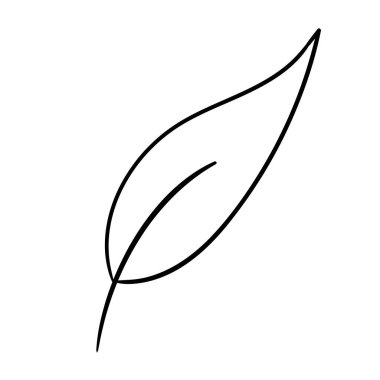 Elle çizilmiş yaprak siyahı. Beyaz arka planda izole edilmiş. Vektör botanik çizimi. El çizimi karalama çiçek elementleri. Bahar ve yaz çiçekleri ve bitki vektörleri sanat ya da taslak biçiminde. 