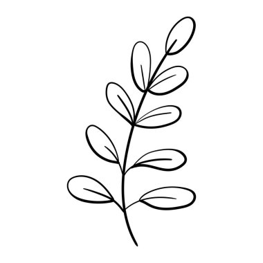 Elle çizilmiş yaprak siyahı. Beyaz arka planda izole edilmiş. Vektör botanik çizimi. El çizimi karalama çiçek elementleri. Bahar ve yaz çiçekleri ve bitki vektörleri sanat ya da taslak biçiminde. 