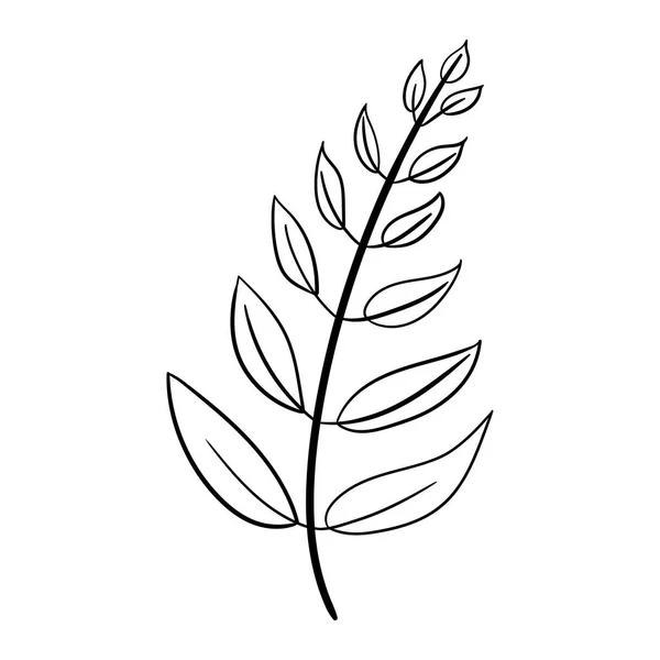 Hoja dibujada a mano para colorear negro. Aislado sobre fondo blanco. Ilustración botánica vectorial Elementos florales garabatos dibujados a mano. Primavera y verano vector de flores y plantas en el arte de línea o estilo de contorno. — Vector de stock