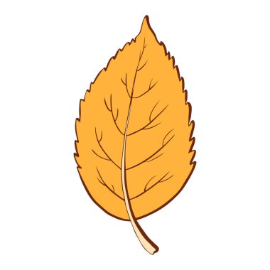 El çizimi turuncu ve sarı renkli, beyaz arka planda izole. Vektör botanik çizimi. Bahar ve yaz el çizimi karalama çiçek elementleri. Çizgi sanatı veya taslak biçiminde bitki vektörü. 