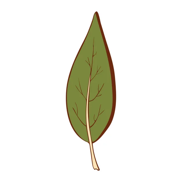 Χέρι ζωγραφισμένα φύλλα πράσινο πολύχρωμο απομονωμένο σε λευκό φόντο. Διάνυσμα βοτανική απεικόνιση. Άνοιξη και καλοκαίρι ζωγραφισμένα στο χέρι doodle ανθικά στοιχεία. φυτό διάνυσμα σε γραμμή τέχνης ή περίγραμμα στυλ. — Διανυσματικό Αρχείο