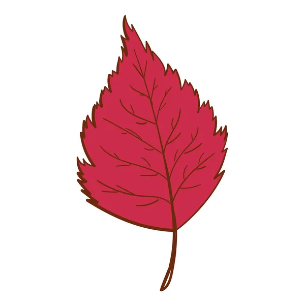 Hoja dibujada a mano de color rojo aislado sobre fondo blanco. Ilustración botánica vectorial Primavera y verano dibujado a mano doodle elementos florales. vector de planta en el arte de línea o estilo de contorno. — Archivo Imágenes Vectoriales