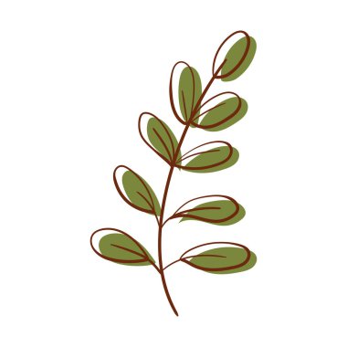 El yapımı yeşil yaprak renginde. Beyaz arka planda izole edilmiş. Vektör botanik çizimi. El çizimi karalama çiçek elementleri. Bahar ve yaz çiçekleri ve bitki vektörleri sanat ya da taslak biçiminde. 