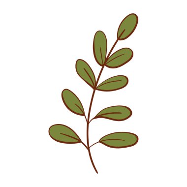 El yapımı yeşil yaprak renginde. Beyaz arka planda izole edilmiş. Vektör botanik çizimi. El çizimi karalama çiçek elementleri. Bahar ve yaz çiçekleri ve bitki vektörleri sanat ya da taslak biçiminde. 