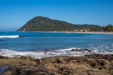 Lo de Marcos, Nayarit, Meksika - 23 Ocak 2021: Paddleboardcular ve sörfçüler Pasifik Okyanusu 'nda sörfün tadını çıkarıyorlar.