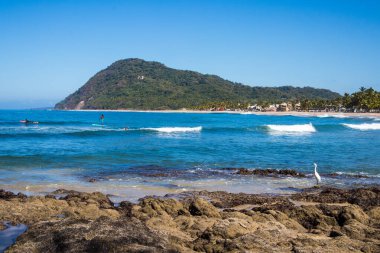 Lo de Marcos, Nayarit, Meksika - 23 Ocak 2021: Paddleboardcular ve sörfçüler Pasifik Okyanusu 'nda sörfün tadını çıkarıyorlar.