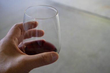 Sonoma County, Kaliforniya 'da bir üzüm bağında el şarabının tadına bakmak için bir bardak kırmızı şarap.