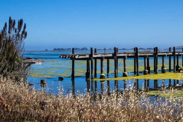 Vecchio Molo Legno Sopra Acqua Bodega Bay California — Foto Stock