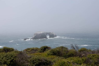 Deniz kıyısında sisli bir sabahta güzel bir keçi kayası manzarası. 