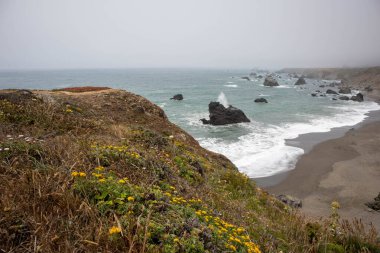 Sonoma Coast State Park 'ın manzaralı çekimi Kaliforniya Eyaleti, ABD