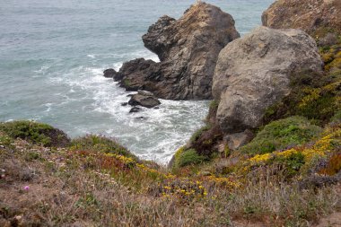Sonoma Coast State Park 'ın manzaralı çekimi Kaliforniya Eyaleti, ABD