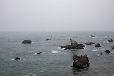 Kaliforniya 'nın Sonoma Sahili' ndeki Pasifik Okyanusu 'nun Rocky kıyıları.