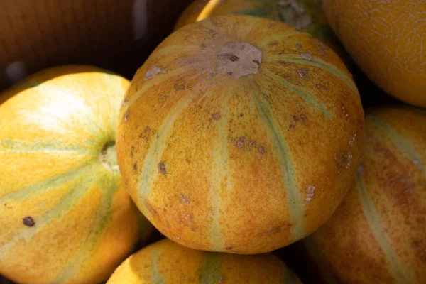 Cuadro Completo Melones Vendiendo Mercado Agricultores — Foto de Stock