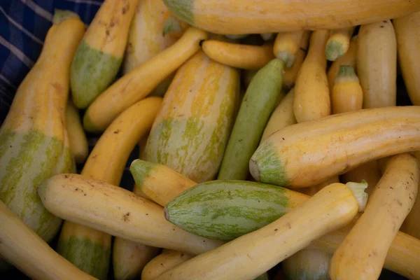 Vollbild Aufnahme Von Zucchini Die Auf Bauernmarkt Verkauft Wird — Stockfoto