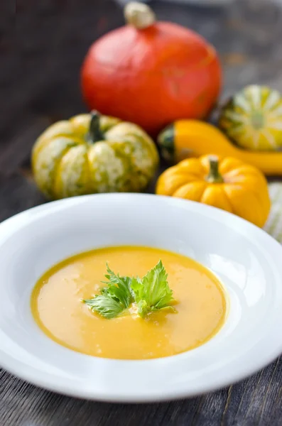 Sopa de abóbora em um prato com abóboras — Fotografia de Stock