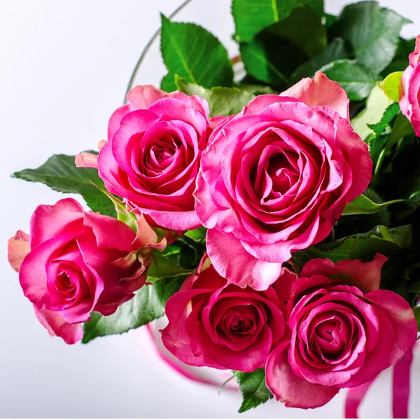 Розы розовые — стоковое фото