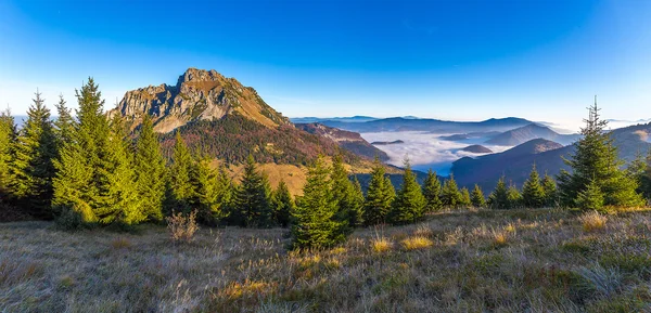 Rozsutec il grande — Foto Stock