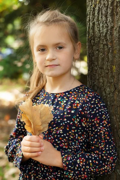 小さな女の子が公園に立って キャストオークの木を持っています 秋の散歩 — ストック写真
