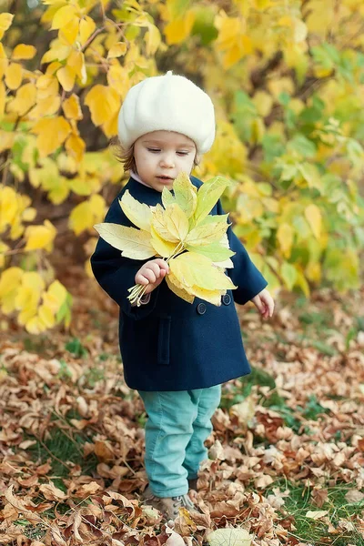 Herbst Outdoor Porträt Der Schönen Glücklichen Kind Mädchen Fuß Park — Stockfoto