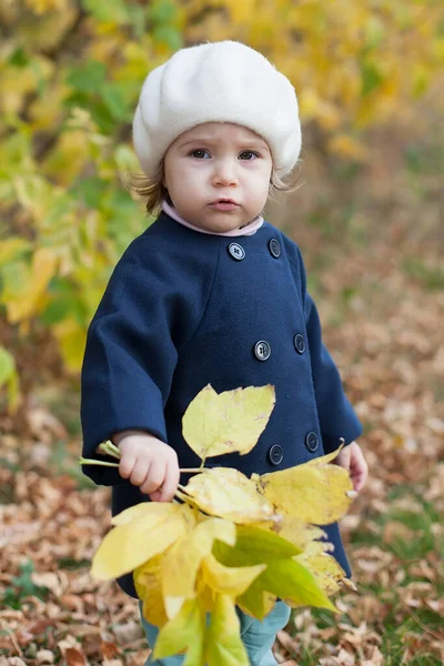Счастливый Ребенок Наслаждается Осенней Погодой Маленькая Девочка Осенних Листьях Время — стоковое фото