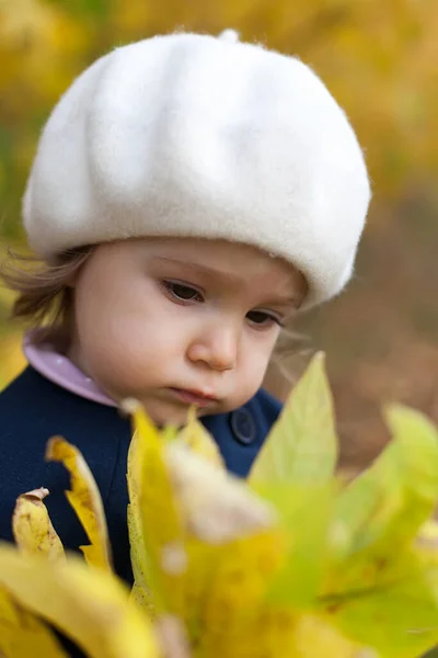 Glückliche Kinder Genießen Das Herbstwetter Kleines Mädchen Herbstlaub Herbstzeit Kind — Stockfoto