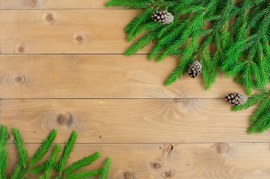 Yeni yıl kutlamaları. Firavun dalları kahverengi bir arka planda, yazı için bir yeri var. 2021.