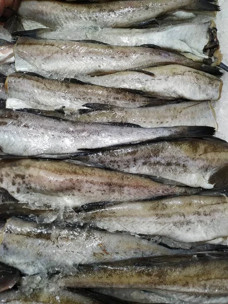 Свежая охлажденная рыба лежит рядами в холодильнике во льду на ветровом стекле супермаркета. — стоковое фото