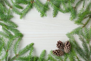 Karla kaplı kozalaklı beyaz, pejmürde Noel sınırı