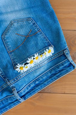 Kotun köşesinde altı papatya. Papatya çayı kompozisyonu.