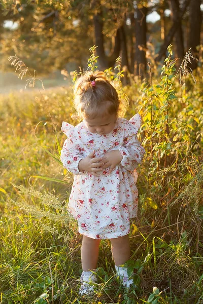 Красива Маленька Дівчинка Відпочиває Красивому Осінньому Пейзажному Фоні — стокове фото