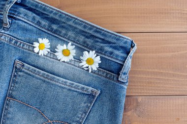 Kotun cebinde papatya çayı. Stüdyo makro çekim