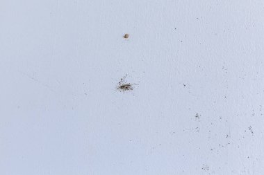 Odanın köşesindeki buğulama kalıbı..