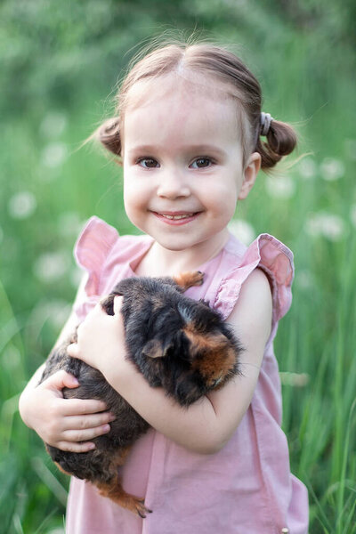 Child playing with guinea pig. Kids feed cavy animals. Little girl holding and feeding domestic animal. Children take care of pets. Preschooler kid petting hamster. Pet rodents. Trip to zoo or farm