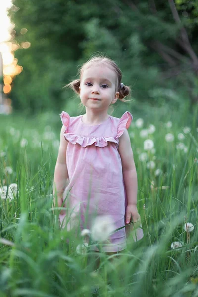 Retrato de lindo pequeño feliz niña de dos años con flores florecen altramuces en el campo de las flores púrpuras. Concepto de niño en la naturaleza. Vacaciones de verano. Temporada de alergia de primavera. Infancia. — Foto de Stock