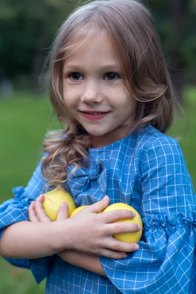 Счастливая маленькая девочка держит яблоки в саду — стоковое фото