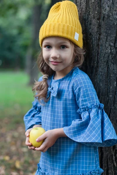 Kinder pflücken im Herbst Äpfel auf dem Bauernhof. Kleines Mädchen beim Spielen im Apfelbaumgarten. Gesunde Ernährung. Nettes kleines Mädchen, das rote köstliche Äpfel isst. Erntekonzept. Apfelernte — Stockfoto