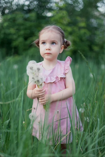 Summer Joy is a cute little girl blowing a dandelion. — Foto de Stock