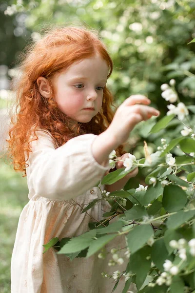 Ένα χαμογελαστό κοκκινομάλλικο κοριτσάκι με σγουρά μακριά μαλλιά σε ένα φόρεμα περπατά σε ένα πάρκο της πόλης και κοιτάζει τα πράσινα φύλλα ενός δέντρου — Φωτογραφία Αρχείου