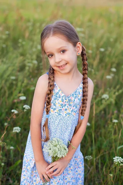 Милая Маленькая Девочка Лугу Летний День — стоковое фото