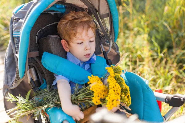 Niño Sentado Silla Ruedas Está Disfrutando Actividades Parque Como Otras Imagen de archivo