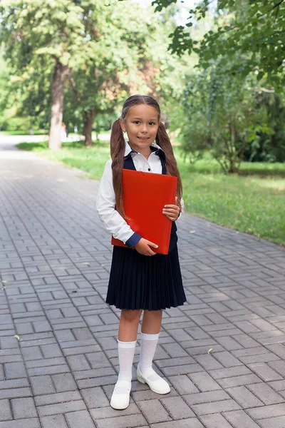 Uma Linda Colegial Com Uma Mochila Rosa Caminha Parque Conceito — Fotografia de Stock