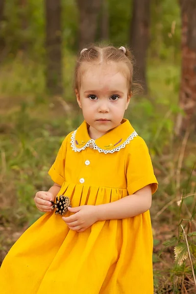 Симпатичная маленькая девочка в красном платье ходит по осеннему лесу и собирает конусы. Свежий воздух — стоковое фото