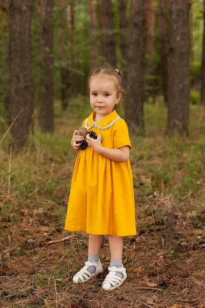 Ένα κοριτσάκι με κόκκινο φόρεμα μαζεύει κώνους στο καλοκαιρινό δάσος. Περπατώντας στον καθαρό αέρα — Φωτογραφία Αρχείου