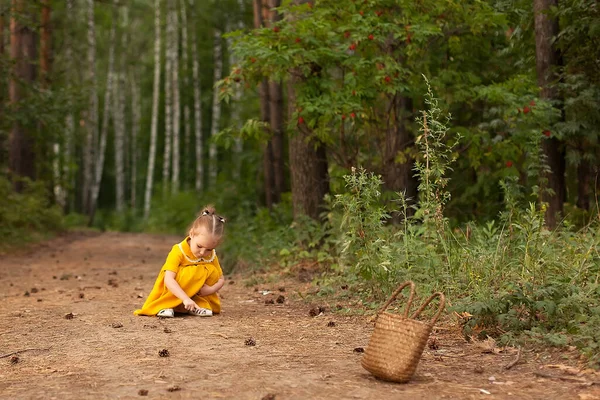 Маленькая девочка с светлыми волосами в красном платье гуляет по лесу и собирает конусы — стоковое фото