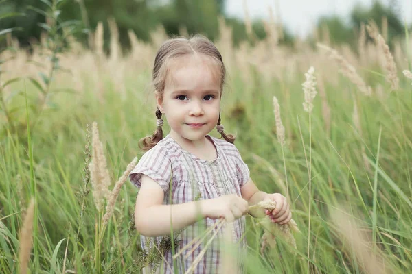 Uma Menina Bonita Caminha Por Campo Trigo Verão Sorri Olha — Fotografia de Stock