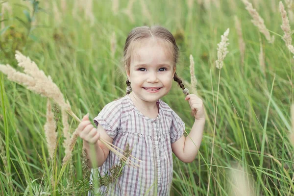 Uma menina bonita em um vestido em um campo de trigo com espiguetas no verão, segurando um buquê de espiguetas em suas mãos, olha para a câmera e sorri, segurando seu pigtail com a mão. Natureza — Fotografia de Stock