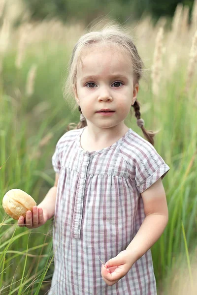 Uma menina pequena feliz de 2-3 anos em um vestido e com tranças em um campo de trigo com pão em um dia de verão está e olha para a câmera. Colheita. — Fotografia de Stock