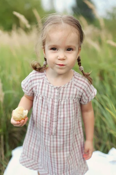 Una niña feliz de 2-3 años en un vestido y con trenzas en un campo de trigo con pan en un día de verano se para y mira a la cámara. Cosecha. — Foto de Stock