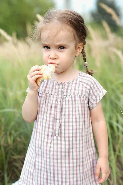 Una niña pequeña en un campo en una noche de verano, caminando en la naturaleza. El concepto de paz, esperanzas, sueños — Foto de Stock